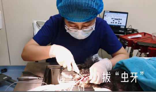 醫生認真拔牙.png