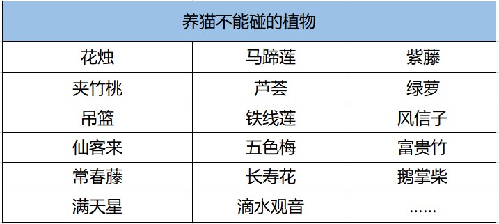 貓咪不能碰的植物