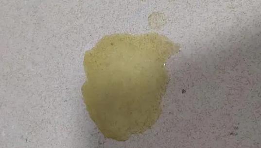 貓咪吐黃水是怎么回事